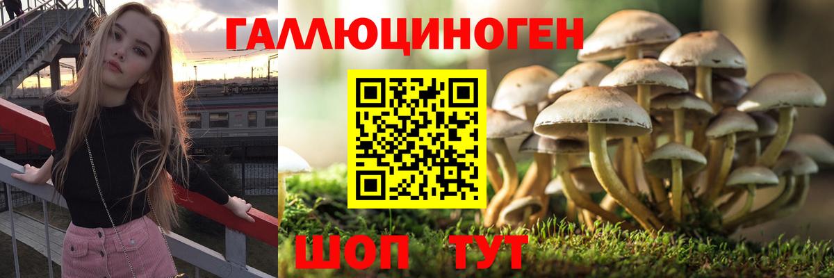 Галлюциногенные грибы мухоморы  Вход с VPN  Усинск 